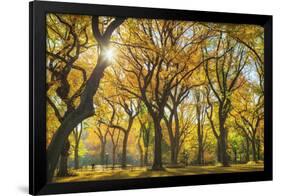 Usa, New York City, Manhattan, Central Park, the Mall-Michele Falzone-Framed Photographic Print