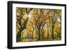 Usa, New York City, Manhattan, Central Park, the Mall-Michele Falzone-Framed Photographic Print