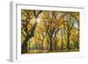 Usa, New York City, Manhattan, Central Park, the Mall-Michele Falzone-Framed Photographic Print