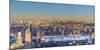 Usa, New York City, Manhattan Skyline from Brooklyn-Michele Falzone-Mounted Photographic Print
