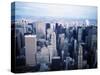USA New York City Skyline-null-Stretched Canvas