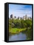 USA, New York, Manhattan, Central Park, Belvedere Lake-Alan Copson-Framed Stretched Canvas