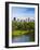 USA, New York, Manhattan, Central Park, Belvedere Lake-Alan Copson-Framed Photographic Print