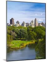 USA, New York, Manhattan, Central Park, Belvedere Lake-Alan Copson-Mounted Photographic Print