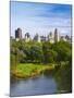 USA, New York, Manhattan, Central Park, Belvedere Lake-Alan Copson-Mounted Photographic Print