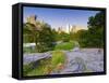 USA, New York, Manhattan, Central Park-Alan Copson-Framed Stretched Canvas