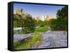 USA, New York, Manhattan, Central Park-Alan Copson-Framed Stretched Canvas