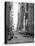 USA, New York, Manhattan, Midtown, 7th Avenue-Alan Copson-Stretched Canvas