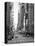 USA, New York, Manhattan, Midtown, 7th Avenue-Alan Copson-Stretched Canvas