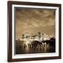 USA, New York, Morning View of the Skyscrapers of Downtown Manhattan from the Brooklyn Heights Neig-Gavin Hellier-Framed Photographic Print