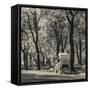 USA, New York, New York City, Central Park, Horse-Drawn Carriage-Walter Bibikow-Framed Stretched Canvas