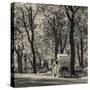 USA, New York, New York City, Central Park, Horse-Drawn Carriage-Walter Bibikow-Stretched Canvas