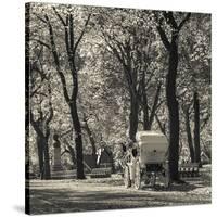 USA, New York, New York City, Central Park, Horse-Drawn Carriage-Walter Bibikow-Stretched Canvas