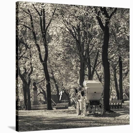 USA, New York, New York City, Central Park, Horse-Drawn Carriage-Walter Bibikow-Stretched Canvas