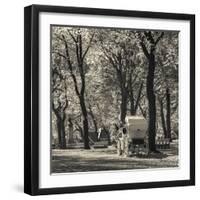 USA, New York, New York City, Central Park, Horse-Drawn Carriage-Walter Bibikow-Framed Photographic Print