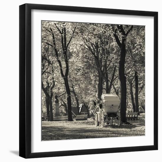 USA, New York, New York City, Central Park, Horse-Drawn Carriage-Walter Bibikow-Framed Photographic Print