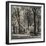 USA, New York, New York City, Central Park, Horse-Drawn Carriage-Walter Bibikow-Framed Photographic Print