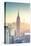 Usa, New York, New York City, Empire State Building and Midtown Manhattan Skyline-Michele Falzone-Stretched Canvas