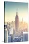 Usa, New York, New York City, Empire State Building and Midtown Manhattan Skyline-Michele Falzone-Stretched Canvas