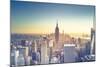 Usa, New York, New York City, Empire State Building and Midtown Manhattan Skyline-Michele Falzone-Mounted Photographic Print