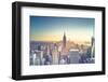 Usa, New York, New York City, Empire State Building and Midtown Manhattan Skyline-Michele Falzone-Framed Photographic Print