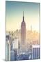 Usa, New York, New York City, Empire State Building and Midtown Manhattan Skyline-Michele Falzone-Mounted Photographic Print