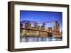 Usa, New York, New York City, Lower Manhattan and Brooklyn Bridge-Michele Falzone-Framed Photographic Print