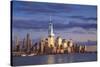 Usa, New York, New York City, Lower Manhattan Skyline-Michele Falzone-Stretched Canvas