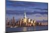 Usa, New York, New York City, Lower Manhattan Skyline-Michele Falzone-Mounted Photographic Print