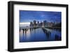 Usa, New York, New York City, Lower Manhattan Skyline-Michele Falzone-Framed Photographic Print