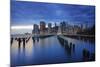 Usa, New York, New York City, Lower Manhattan Skyline-Michele Falzone-Mounted Photographic Print