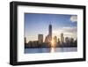 Usa, New York, New York City, Lower Manhattan Skyline-Michele Falzone-Framed Photographic Print