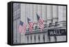Usa, New York, New York City, Lower Manhattan, Wall Street-Michele Falzone-Framed Stretched Canvas
