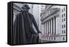 Usa, New York, New York City, Lower Manhattan, Wall Street-Michele Falzone-Framed Stretched Canvas