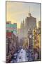 Usa, New York, New York City, Manhattan, Chinatown-Michele Falzone-Mounted Photographic Print