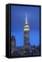 Usa, New York, New York City, Manhattan, Empire State Building-Michele Falzone-Framed Stretched Canvas