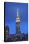 Usa, New York, New York City, Manhattan, Empire State Building-Michele Falzone-Stretched Canvas