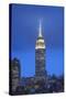 Usa, New York, New York City, Manhattan, Empire State Building-Michele Falzone-Stretched Canvas