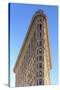 Usa, New York, New York City, Manhattan, Flatiron Building-Michele Falzone-Stretched Canvas