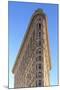 Usa, New York, New York City, Manhattan, Flatiron Building-Michele Falzone-Mounted Photographic Print