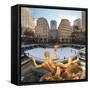 Usa, New York, New York City, Manhattan, Rockefeller Center, Ice Rink-Michele Falzone-Framed Stretched Canvas