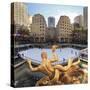 Usa, New York, New York City, Manhattan, Rockefeller Center, Ice Rink-Michele Falzone-Stretched Canvas