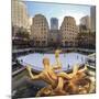 Usa, New York, New York City, Manhattan, Rockefeller Center, Ice Rink-Michele Falzone-Mounted Photographic Print