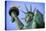 Usa, New York, New York City, Statue of Liberty National Monument-Michele Falzone-Stretched Canvas