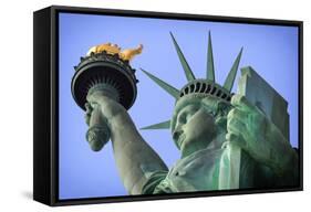 Usa, New York, New York City, Statue of Liberty National Monument-Michele Falzone-Framed Stretched Canvas