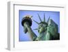 Usa, New York, New York City, Statue of Liberty National Monument-Michele Falzone-Framed Photographic Print