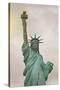 Usa, New York, New York City, Statue of Liberty National Monument-Michele Falzone-Stretched Canvas