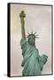 Usa, New York, New York City, Statue of Liberty National Monument-Michele Falzone-Framed Stretched Canvas