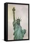 Usa, New York, New York City, Statue of Liberty National Monument-Michele Falzone-Framed Stretched Canvas