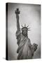 Usa, New York, New York City, Statue of Liberty National Monument-Michele Falzone-Stretched Canvas